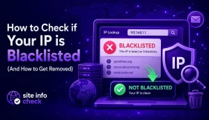 How to Check if Your IP is Blacklisted (And How to Get Removed)