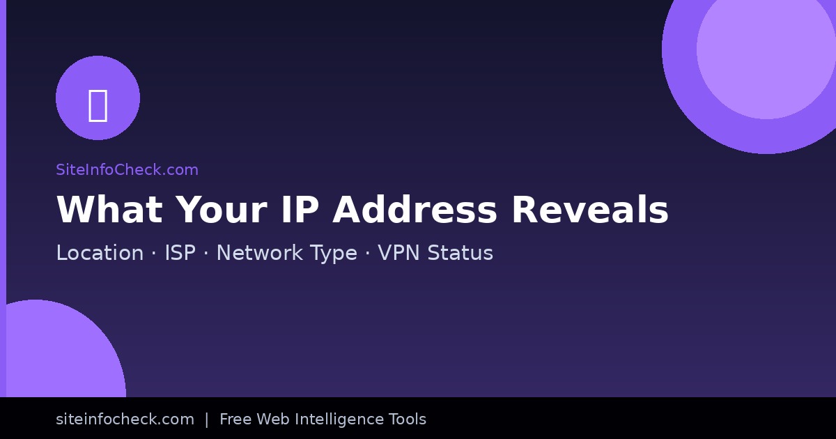 Information revealed by an IP address - infographic